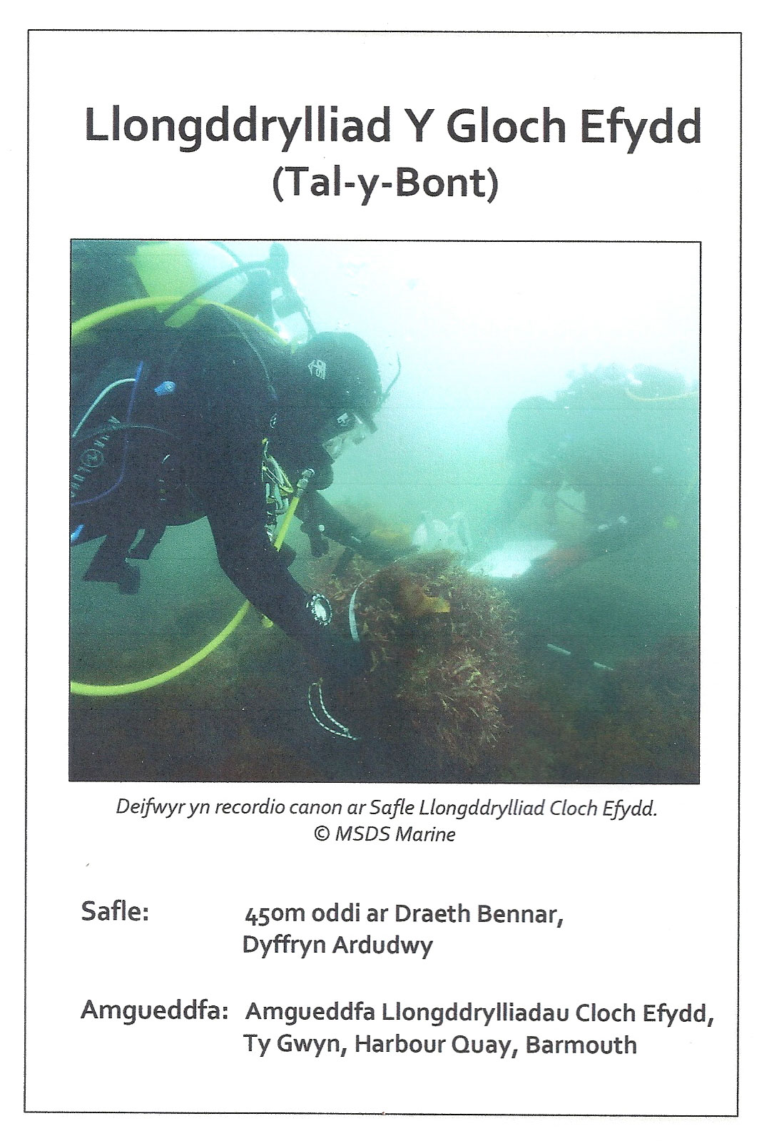 Bronze Bell leaflet - Welsh version